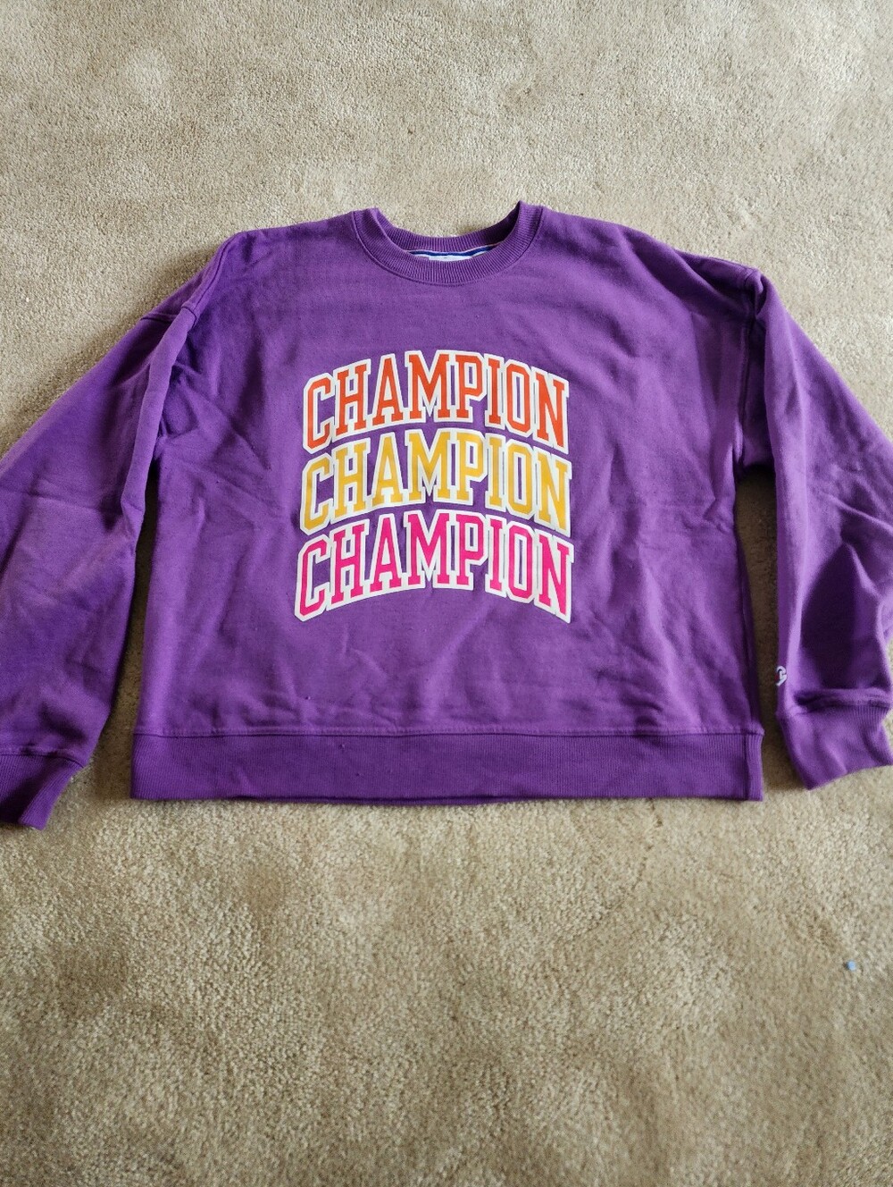 Champion Purple Crewneck Sweatshirt with Multicolor Stacked Logo